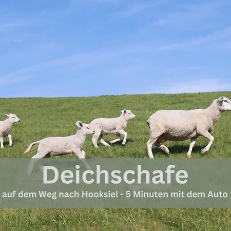 Lodge94 - Tinyhouse Kleiner Luxus * Wilhelmshaven