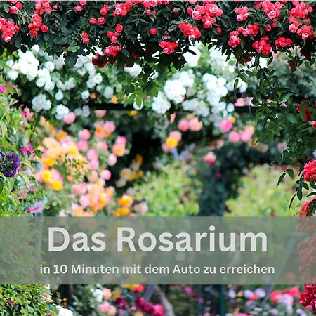 Lodge94 - Tinyhouse Kleiner Luxus