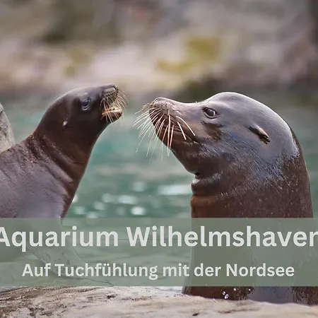 Lodge94 - Tinyhouse Kleiner Luxus