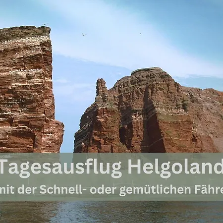 Lodge94 - Tinyhouse Kleiner Luxus 公寓 *