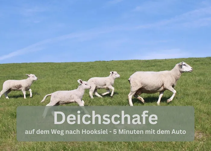 Lodge94 - Tinyhouse Kleiner Luxus * Wilhelmshaven