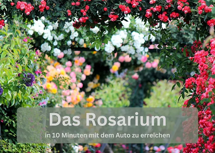 Lodge94 - Tinyhouse Kleiner Luxus