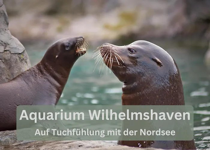 Lodge94 - Tinyhouse Kleiner Luxus