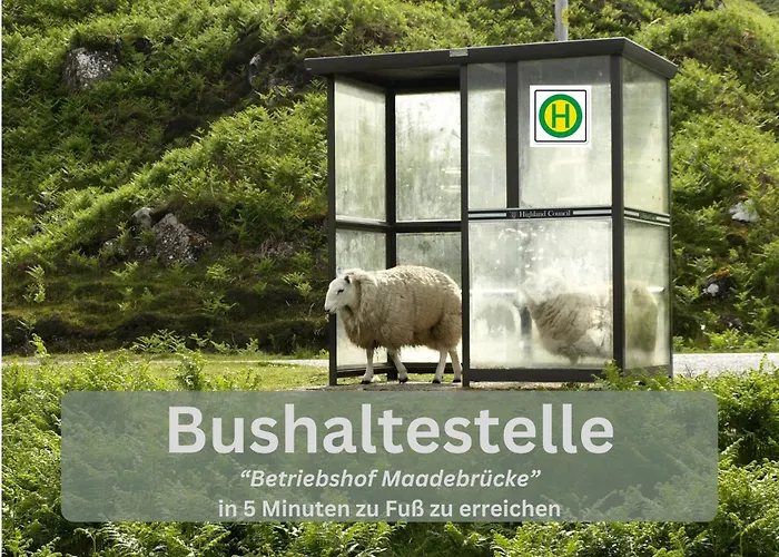 Lodge94 - Tinyhouse Kleiner Luxus Appartamento *